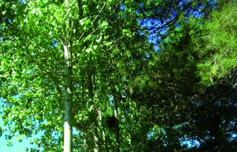 FOTO: Jordi Roca i Josep Castellví