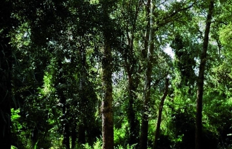 FOTO: Jordi Roca i Josep Castellví