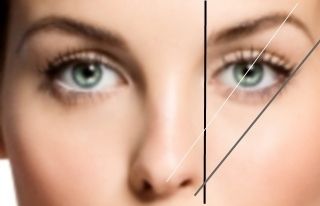 Aquesta temporada es porten les celles naturals