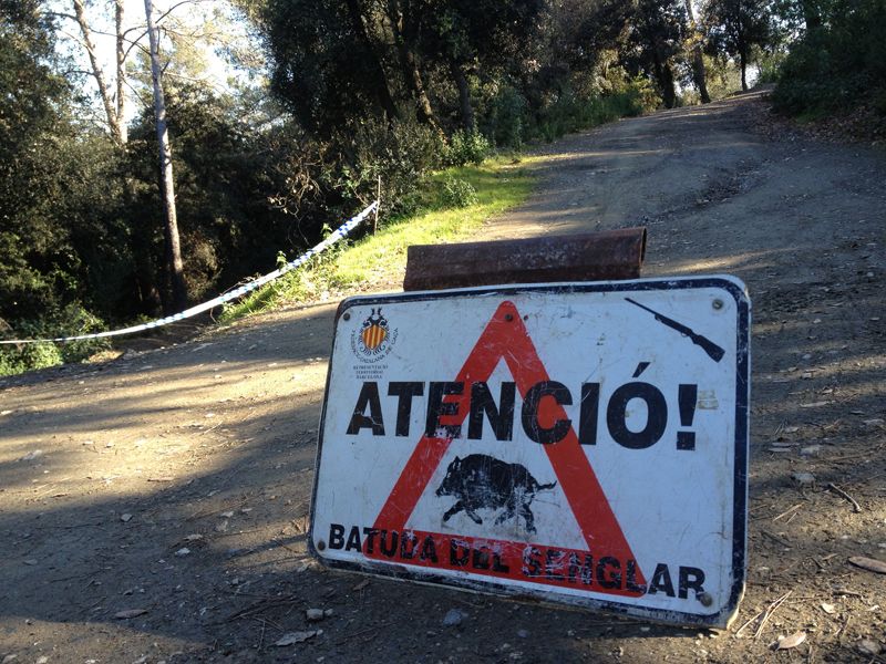 Indicació de batuda de senglar FOTO: Arxiu