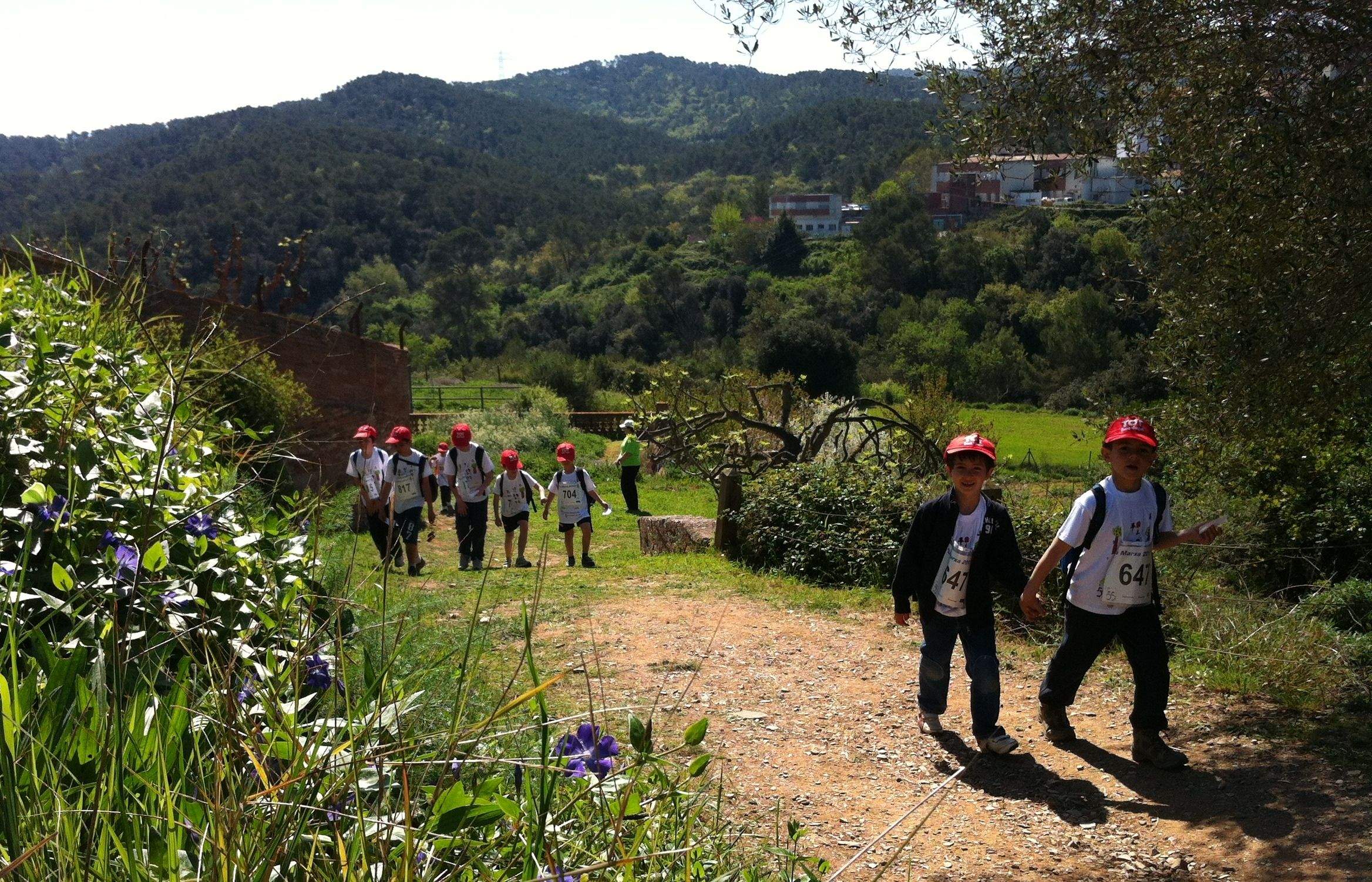 Els nens han caminat per Collserola durant el matí FOTO: JR Armadàs