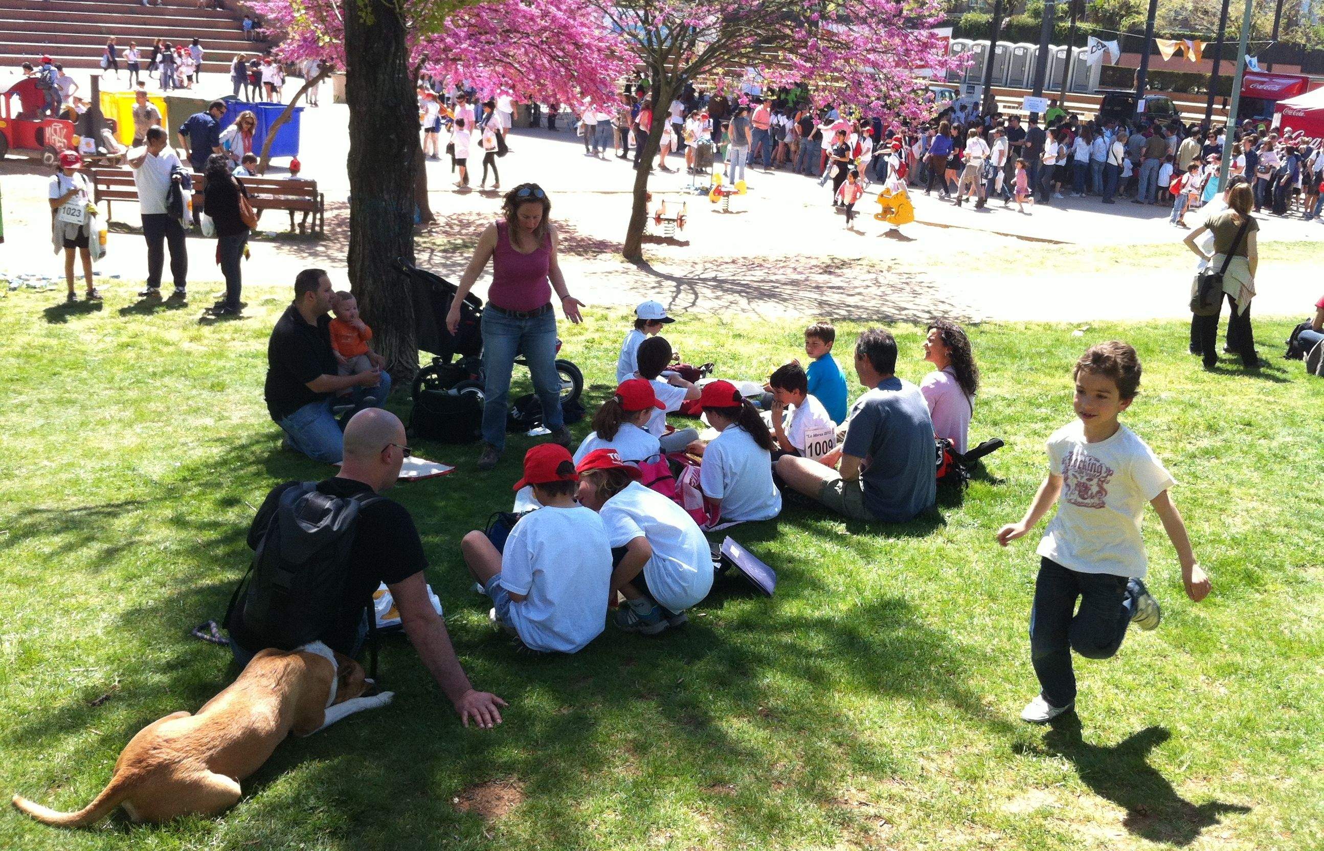 En acabar algunes famílies han aprofitat per fer pícnic al parc: FOTO: JR Armadàs
