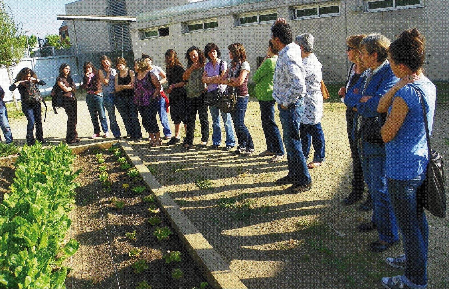 Amb els horts escolars ecològics es treballa la producció daliments
