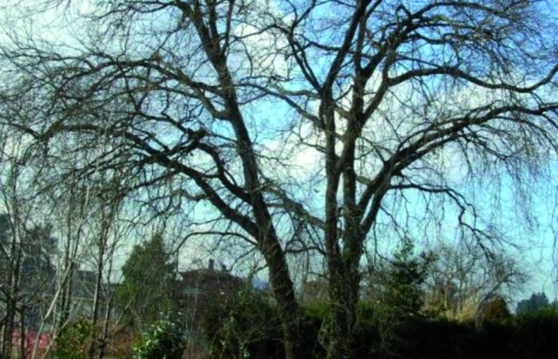 FOTO: Jordi Roca i Josep Castellví