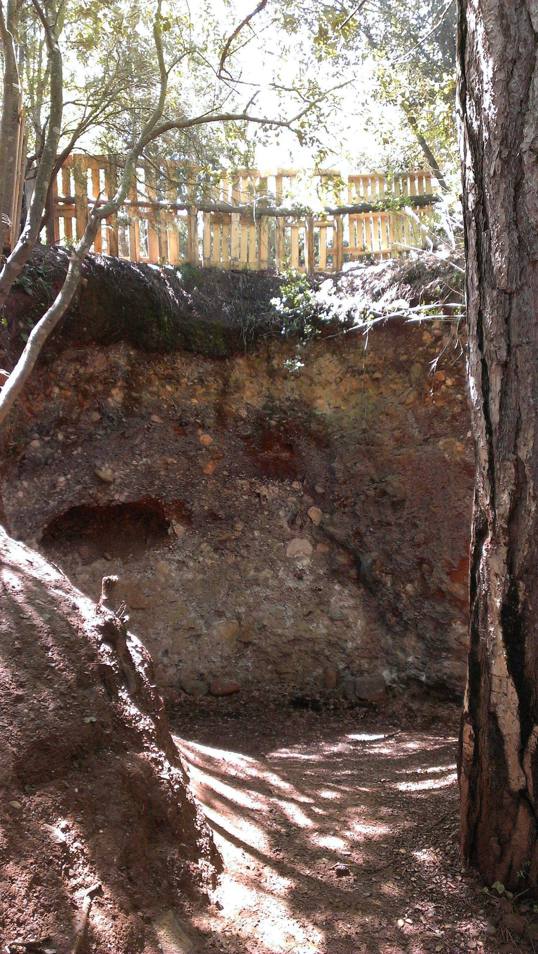 Desnivell on va caure el nen. FOTO: Cedida