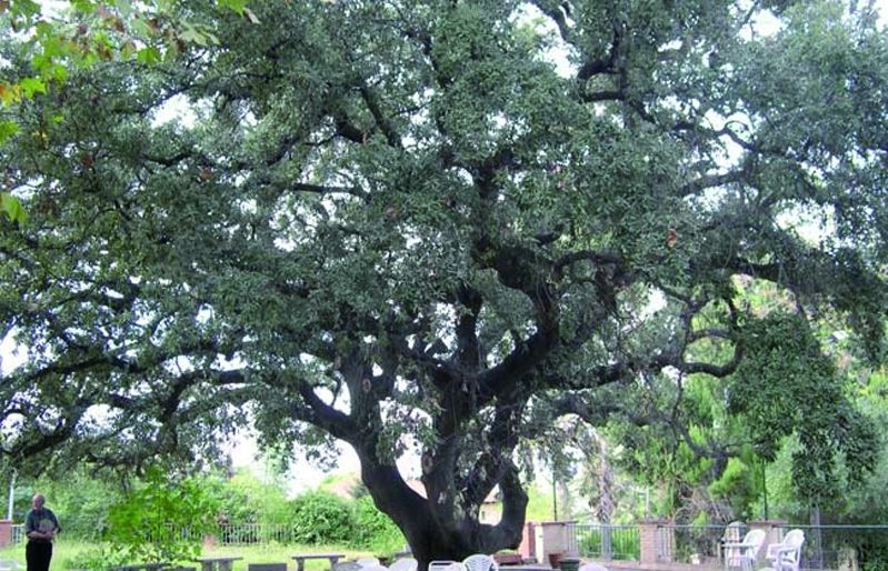 FOTO: Jordi Roca i Josep Castellví