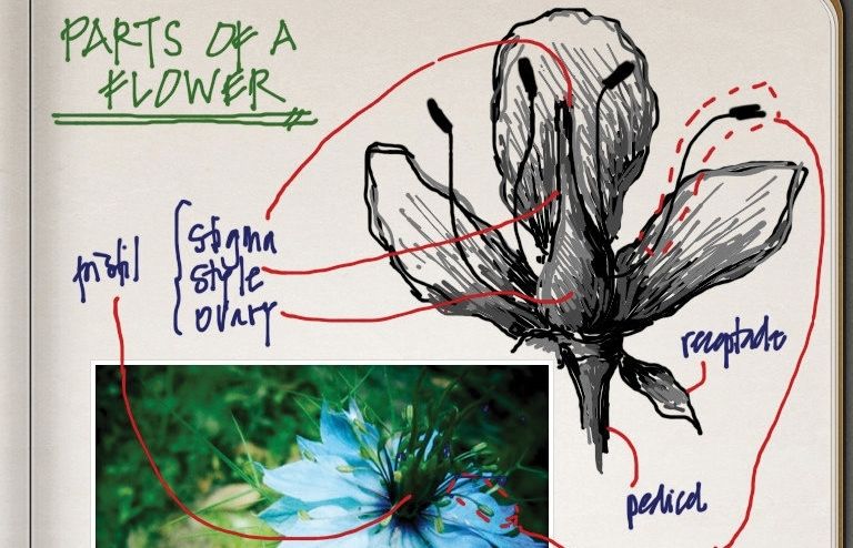 Permet escriure i dibuixar