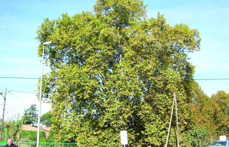 FOTO: Jordi Roca i Josep Castellví