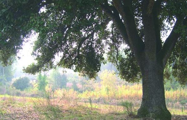 FOTO: Jordi Roca i Josep Castellví