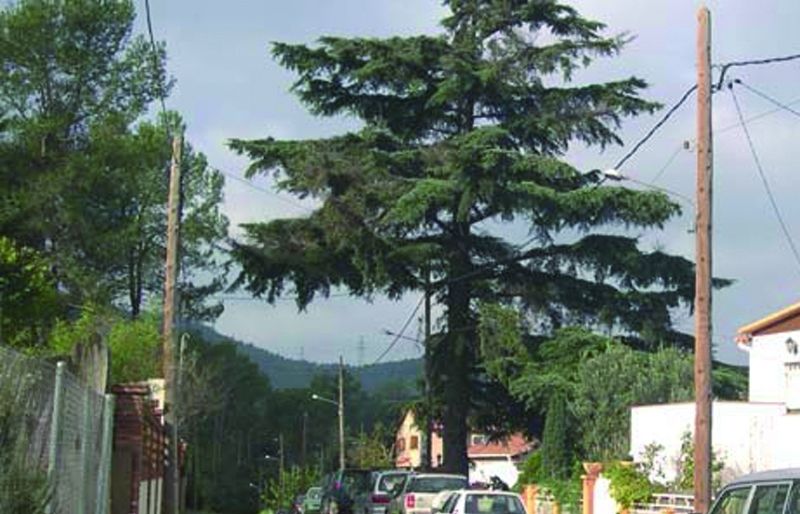 FOTO: Jordi Roca i Josep Castellví