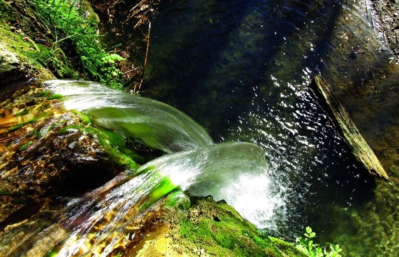 L'itinerari passa per una pista tancada al trànsit