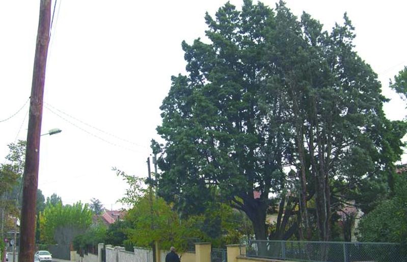 FOTO: Jordi Roca i Josep Castellví