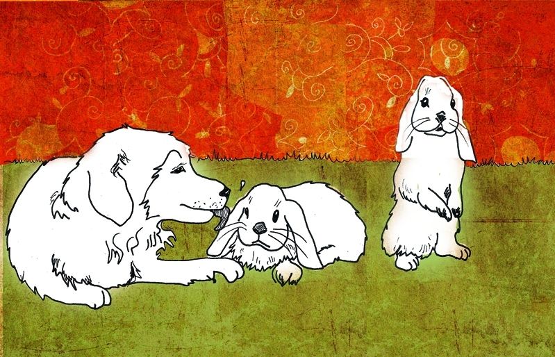 Il·lustració: Elisabet Vallhonrat, alumna de lEscola dArt i Disseny de Sant Cugat