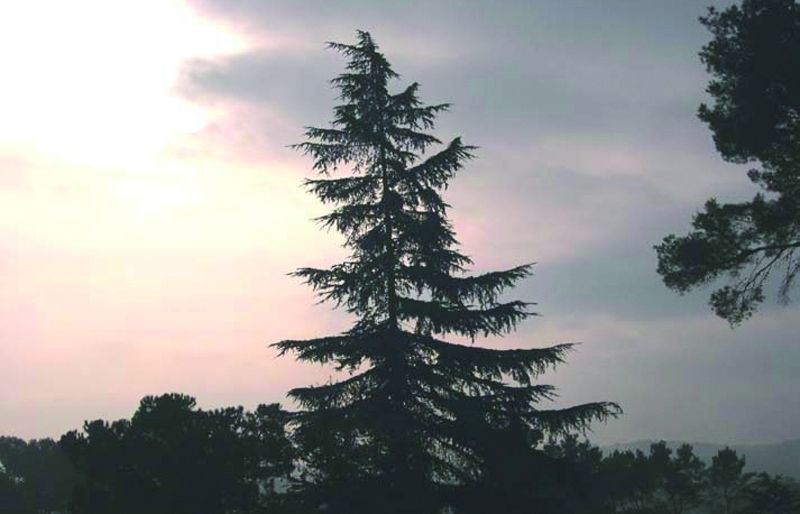 FOTO: Jordi Roca i Josep Castellví