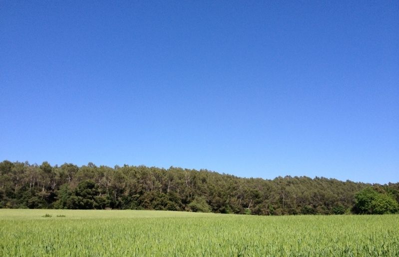 Es poden superar els 180 mg/m³. FOTO: Artur Ribera