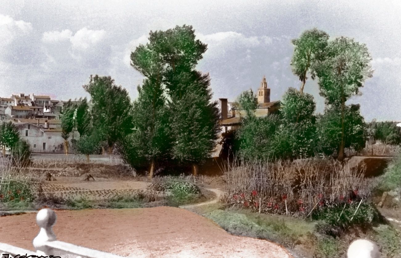 Vista dhorts des del   pont del carrer de Francesc Moragas 