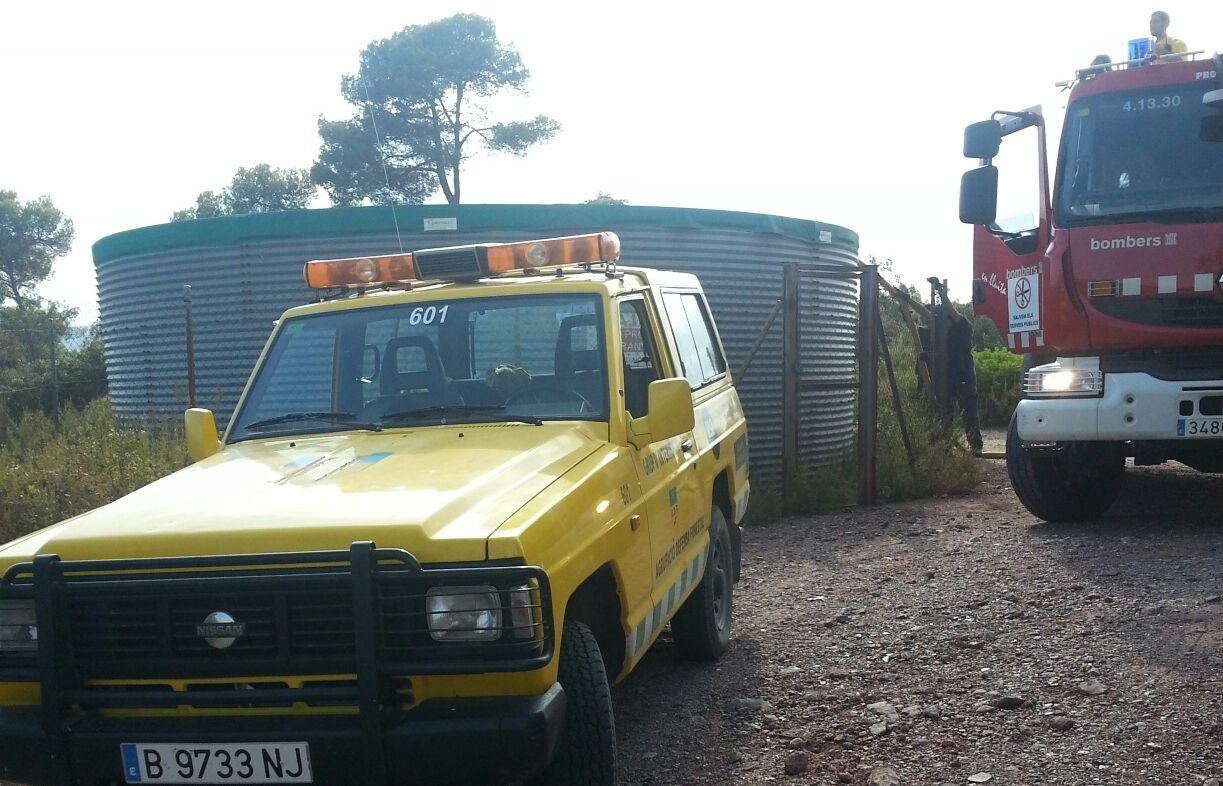 Moment en què es va fer l'actuació. FOTO: ADF