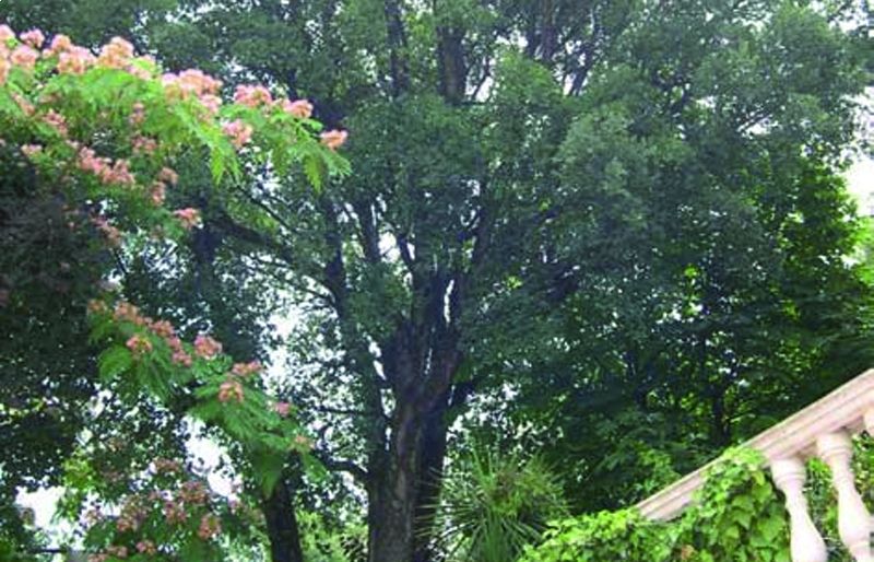 FOTO: Jordi Roca i Josep Castellví
