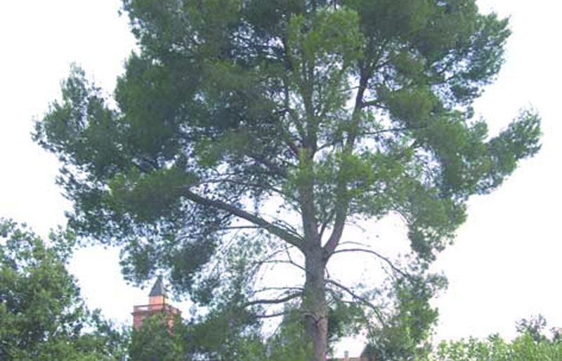 FOTO: Jordi Roca i Josep Castellví