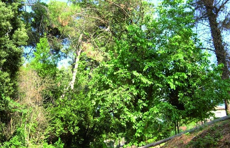 FOTO: Jordi Roca i Josep Castellví