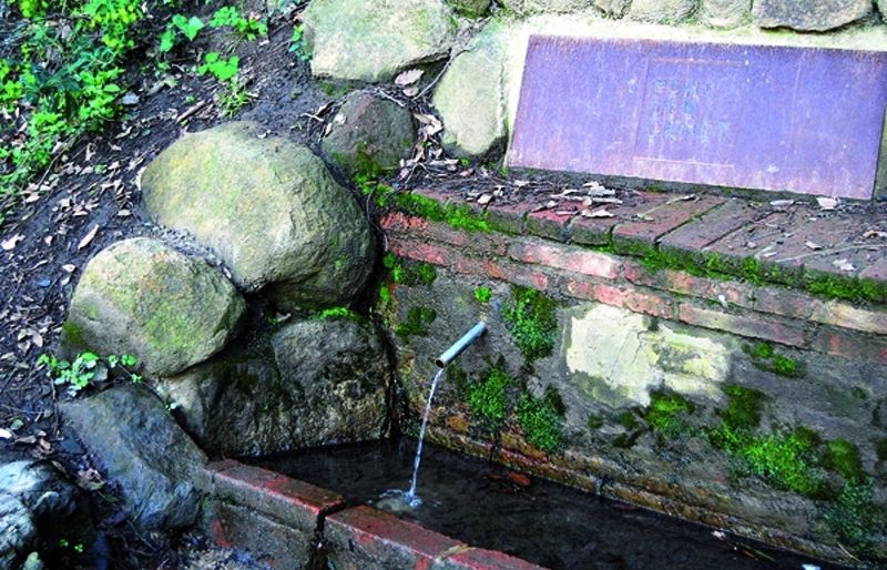 Font den Canet. FOTO: Cedida