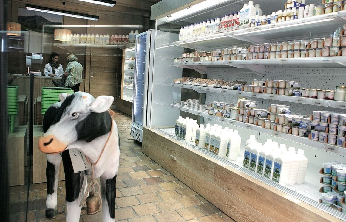 A gRanja Armengol hi trobaràs Llet fresca, iogurts, begudes Lactus per ajudar les teves defenses naturals, batuts, cremes, mantega..