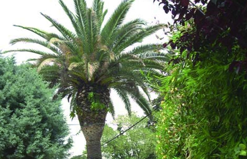 FOTO: Jordi Roca i Josep Castellví