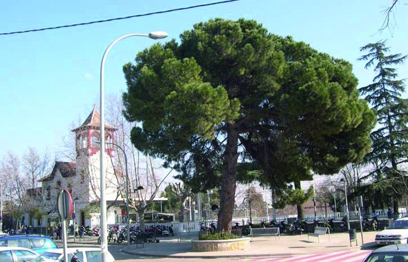 FOTO: Jordi Roca i Josep Castellví