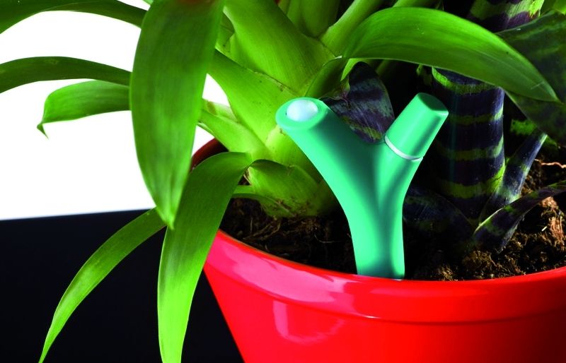 Aquest aparell us alerta quan les plantes necessitin alguna cosa