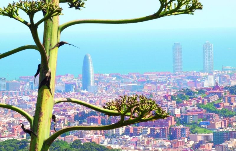 Imatge de Barcelona des de la carretera de les Aigües. FOTO: Artur Ribera