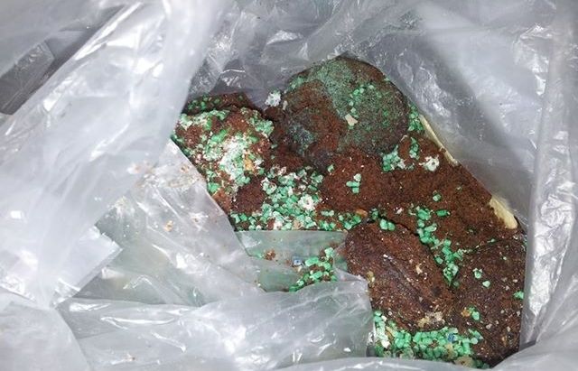 El pastís enverinat es va trobar dins un pati particular. FOTO: Facebook Clínica Veterinària Mira-sol