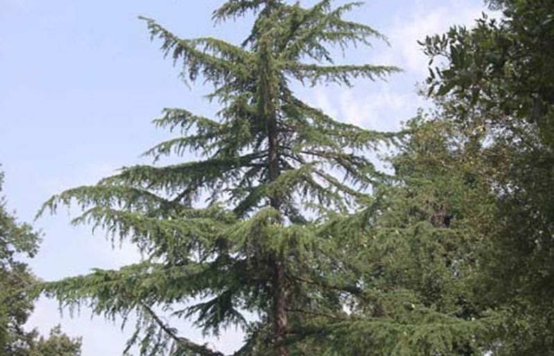 FOTO: Jordi Roca i Josep Castellví