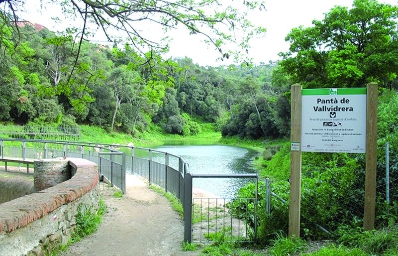 Pantà de Vallvidrera. FOTO: cedida