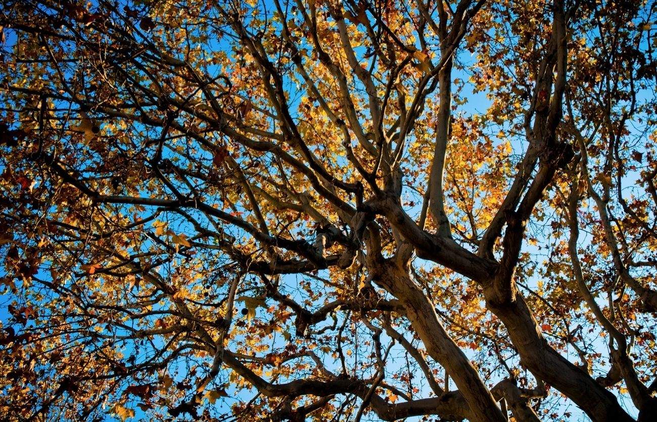 Durant el dia farà molt sol