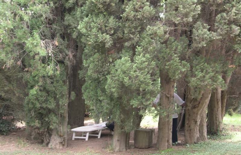 FOTO: Jordi Roca i Josep Castellví