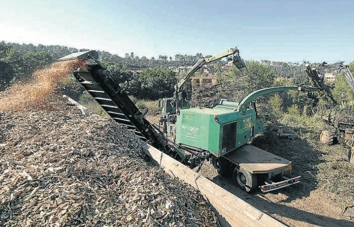 Una màquina tritura la fusta del bosc de Collserola per utilitzar-la en una caldera de biomassa. FOTO: Localpres