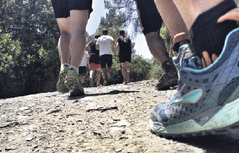 El Parc de Collserola ofereix un munt de camins per caminar o córrer. FOTO: Artur Ribera
