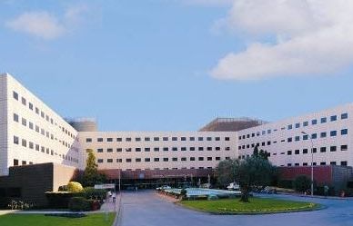 La tassa d'èxit de la teràpia està entre el 77 i el 80%. FOTO: Cedida