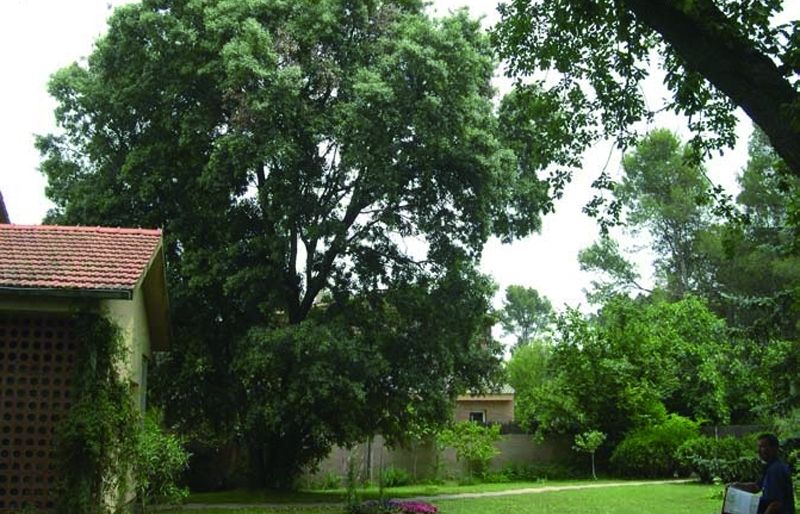 FOTO: Jordi Roca i Josep Castellví