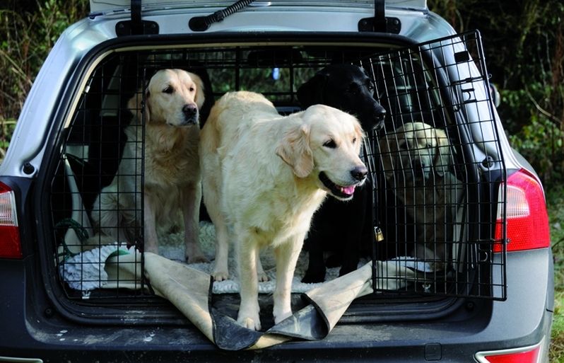 Les primeres experiències en cotxe han de ser agradables