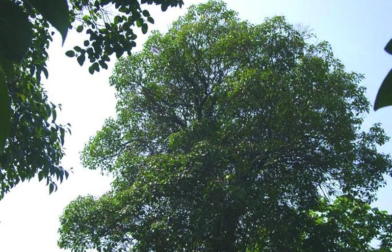 FOTO: Jordi Roca i Josep Castellví