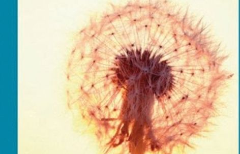 Portada del llibre Dents de lleó