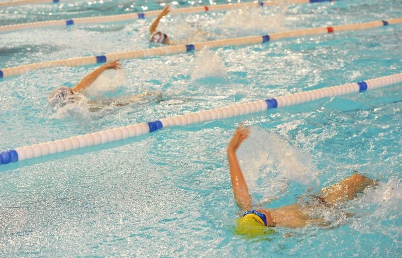 Nou èxit de participació de la Final Local i Comarcal de natació escolar. FOTO: Amanda Bernal