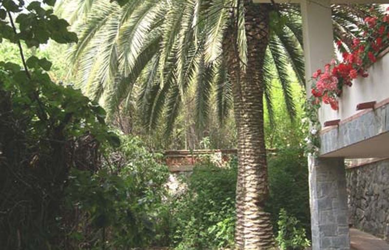 FOTO: Jordi Roca i Josep Castellví