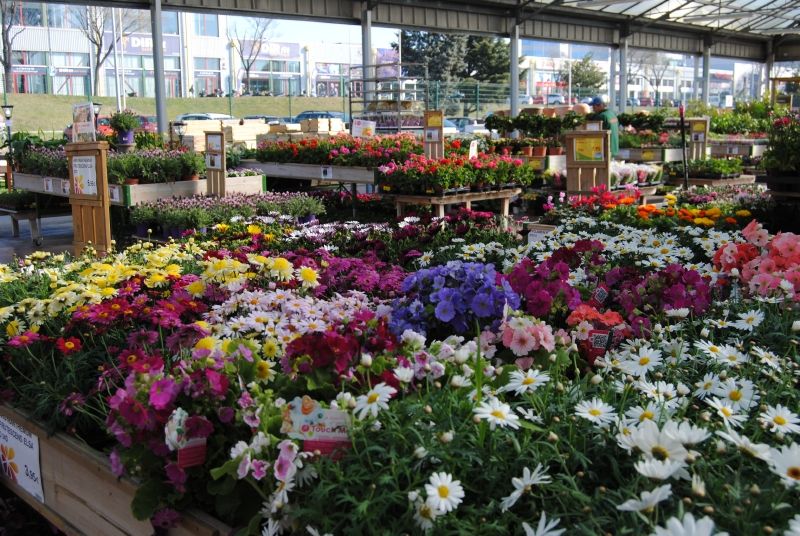 Centre de jardineria, animals i decoració