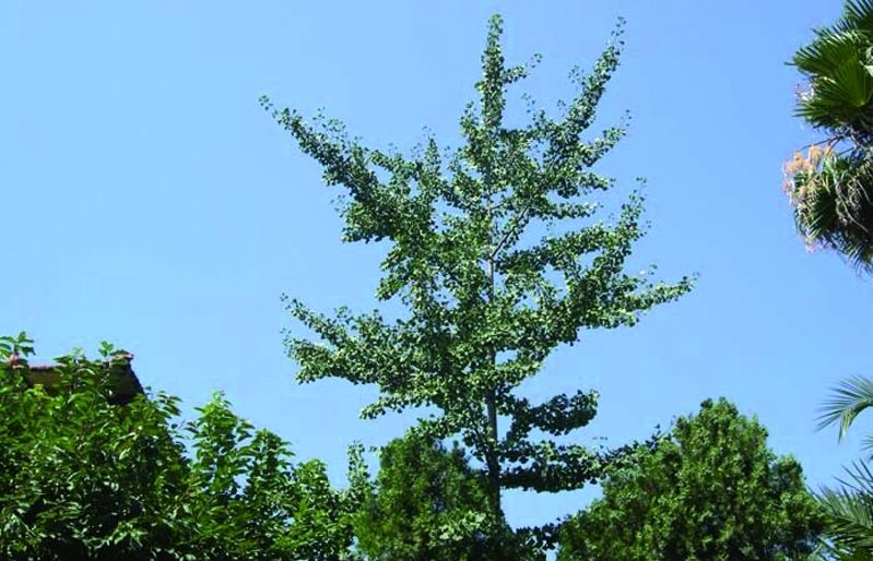 FOTO: Jordi Roca i Josep Castellví