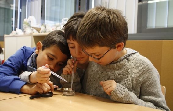 Alumnes de l'escola Collserola fent experiments. FOTO: Cedida