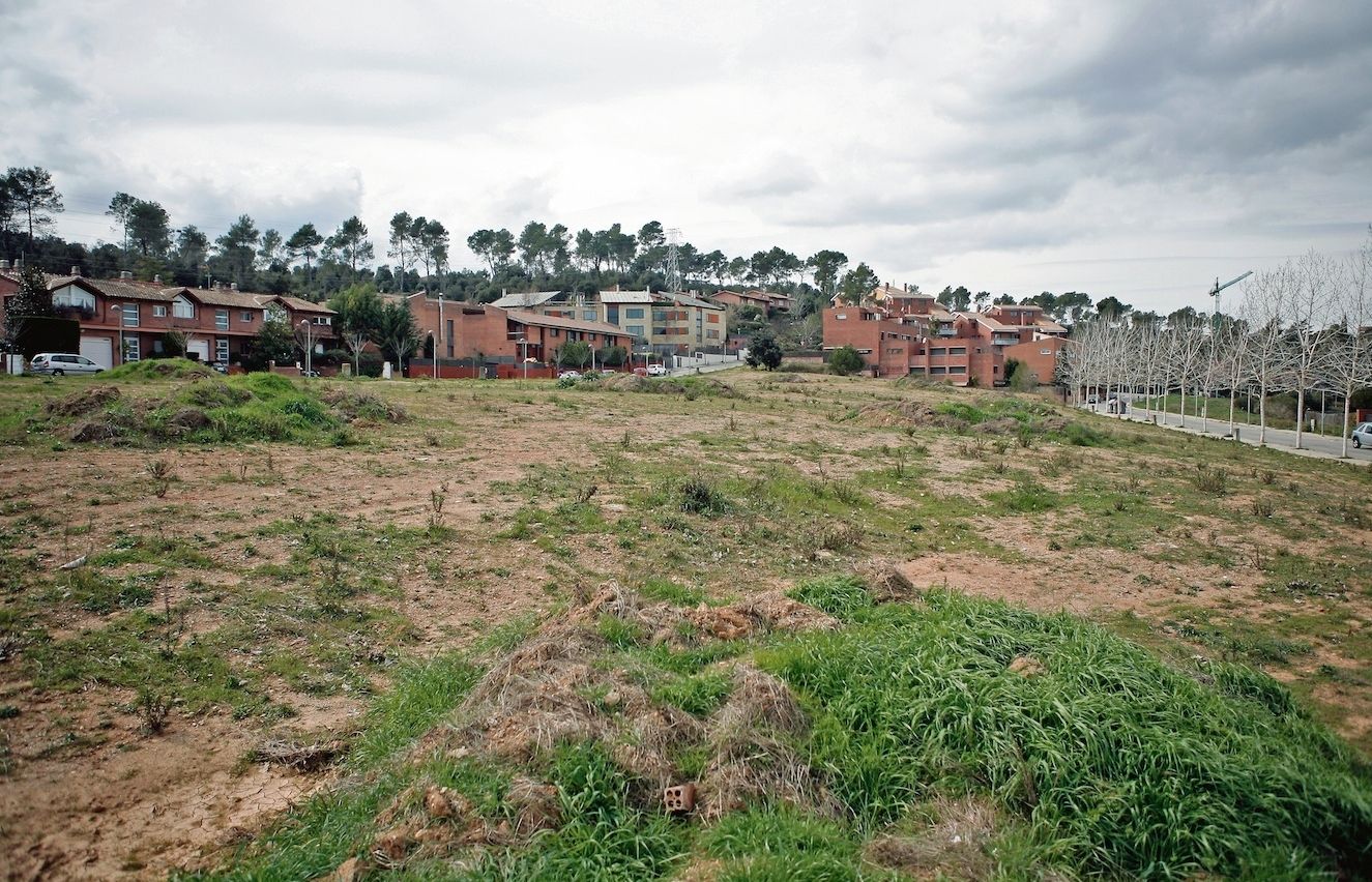 Al barri hi ha moltes zones verdes, moltes en mal estat. FOTO: Artur Ribera