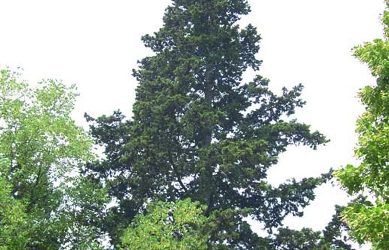 FOTO: Jordi Roca i Josep Castellví