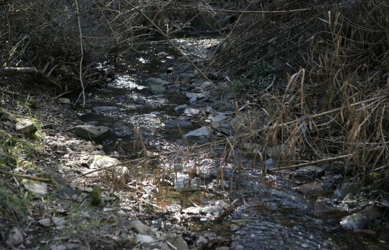 A través de la sensibilització ciutadana es pot arribar a fer un bon ús del medi natural que ens envolta. FOTO: Artur Ribera